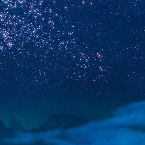 Meet your Posher, Ricky